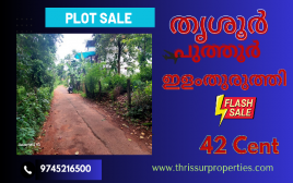 42 cent Plot For Sale at Elamthuruthy,Thrissur   
