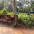 12 cent Plot For Sale near Anchery,Thrissur 